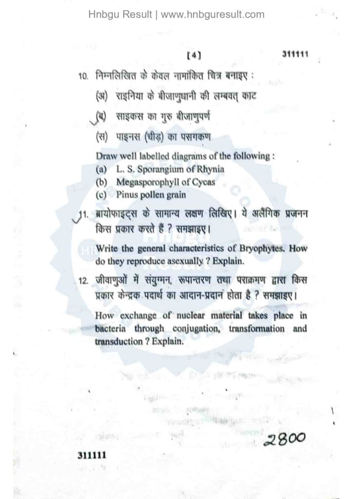 Image of a scanned copy of the previous question paper for the HNBGU B.Sc. Botany 1st Sem Previous Question Paper. The paper is in Hindi and English contains questions on various topics, such as Biodiversity.