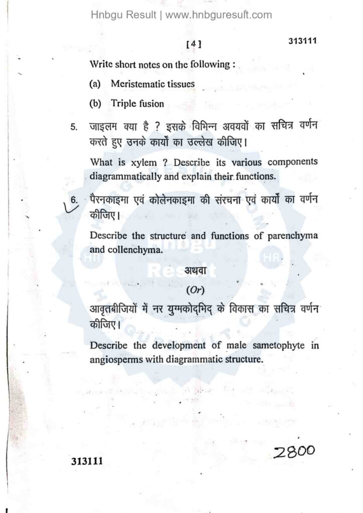 Image of a scanned copy of the previous question paper for the HNBGU B.Sc. Botany 3rd Sem Previous Question Paper. The paper is in Hindi and English contains questions on various topics, such as Plant anatomy and embryology.